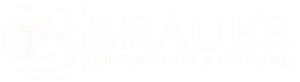 Brauer Contabilidade